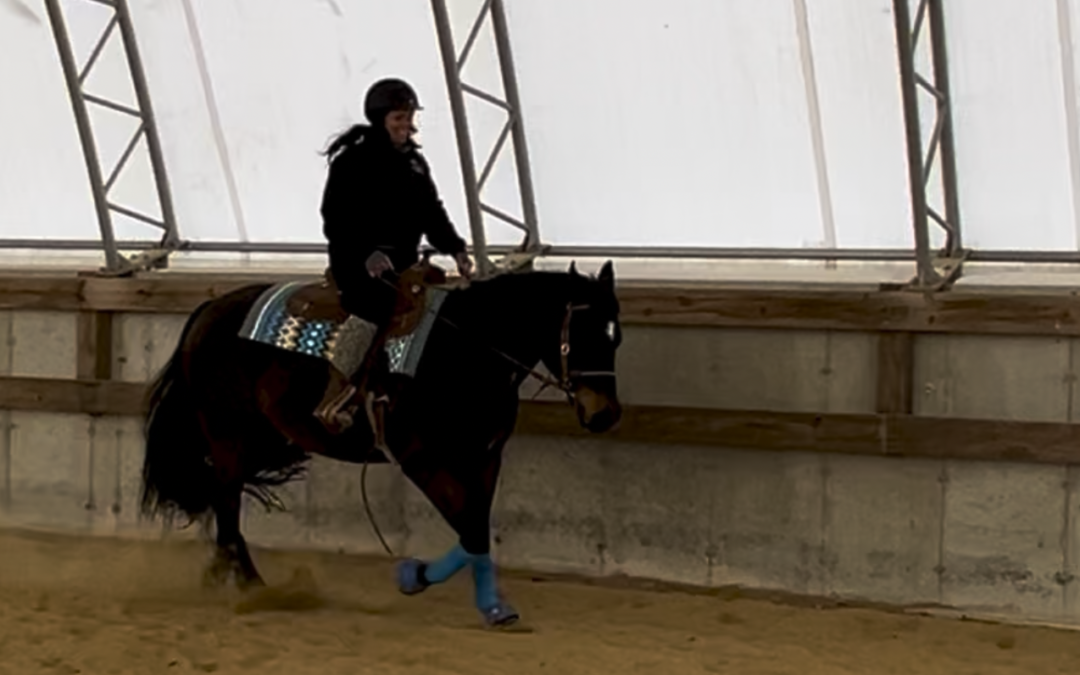 Gearing Up for Show Season: Training Hard with Your Horse at Rockwall Acres Farm